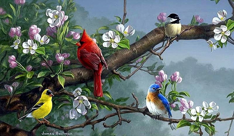 Songbirds in Apple Blossoms, bluebird, cardinal, chickadee, painting, goldfinch, artwork, HD wallpaper