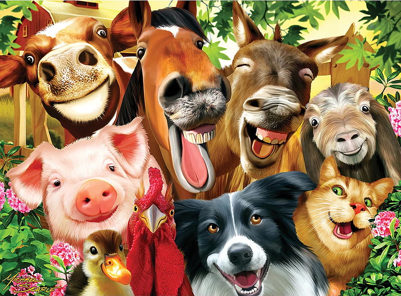 Selfie, donkey, pig, cow, caine, porc, horse, cat, animal, sheep, farm,  cal, HD wallpaper | Peakpx