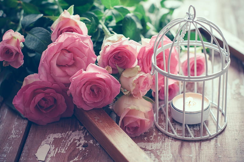 Bouquet Pink Roses, candle, window, bouquet, bird cage, beauty, roses, pink, HD wallpaper