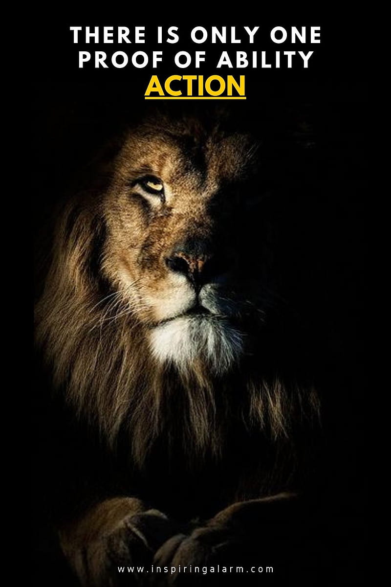 Inspiring , exclusive motivation, fearless, inspire, king, land, lion, lion , lions, motivation, quotes, HD phone wallpaper