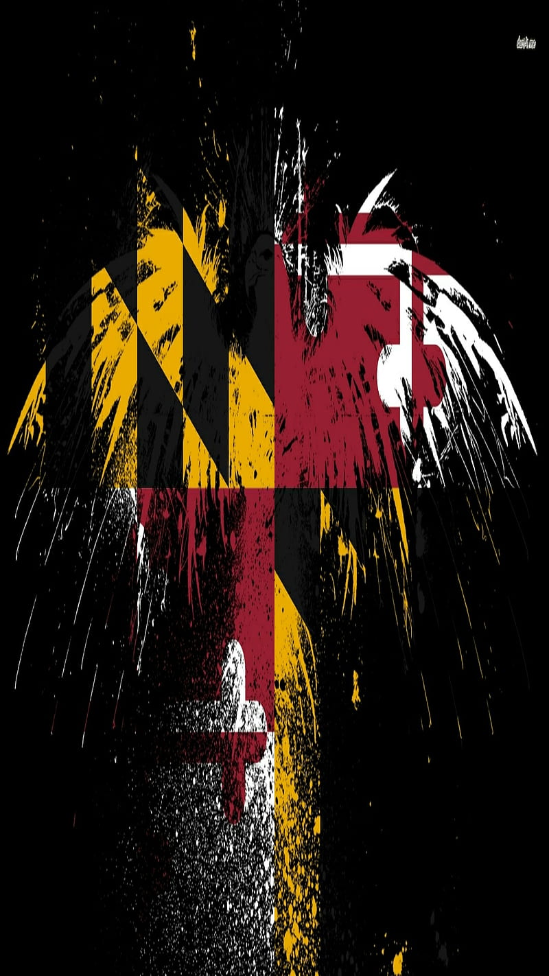 Maryland flag bird, united states, HD phone wallpaper
