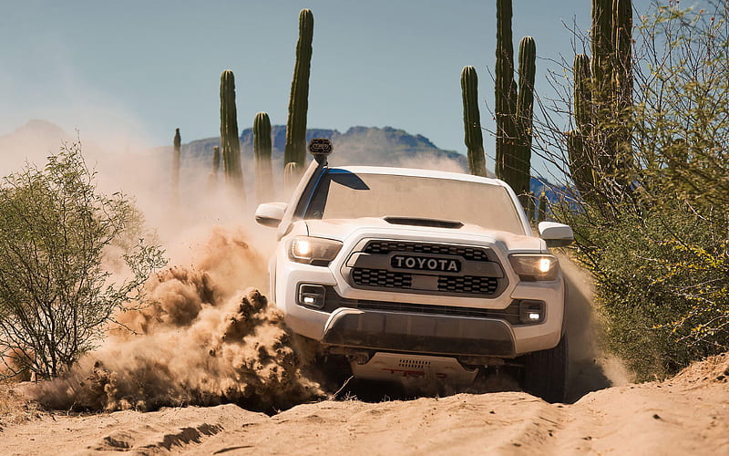 Toyota Tacoma, 2019 front view, desert, off-road, exterior, new white Tacoma, American cars, SUV, cactuses, Toyota, HD wallpaper