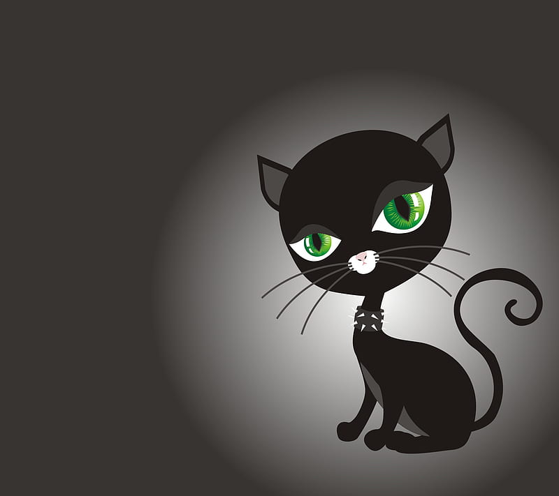 Kici Kici, animal, black cat, collar with studs, HD wallpaper