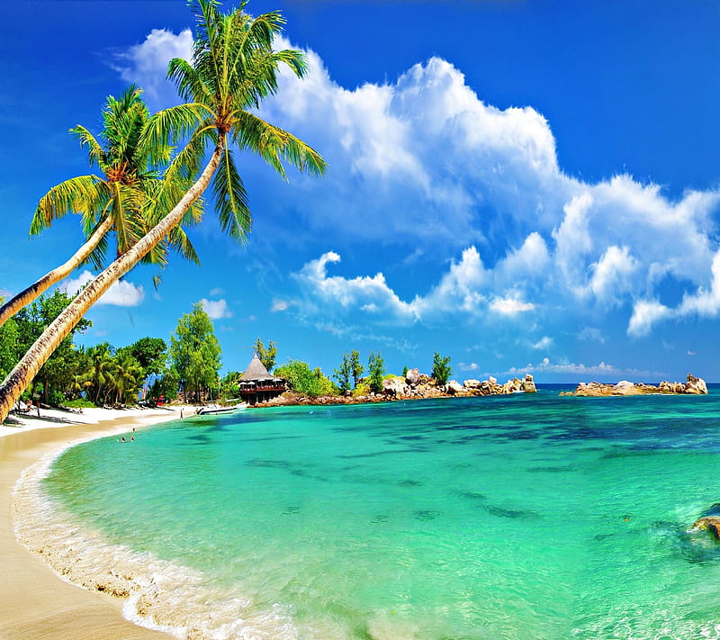 Sunny Beach, clouds, ocean, palm, sky, trees, water, HD wallpaper