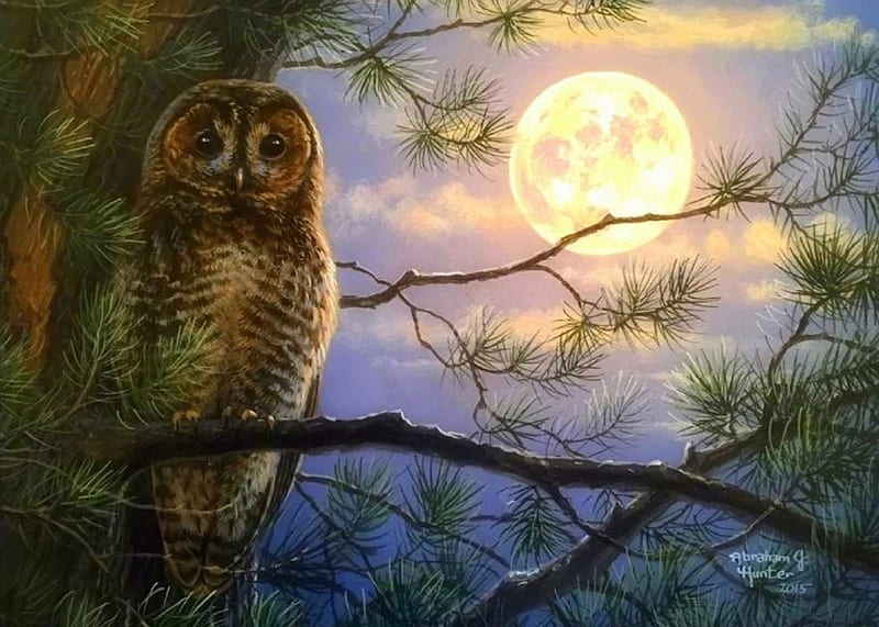 1920x1080px 1080p Free Download Full Moon Owl Owl Moons Paintings