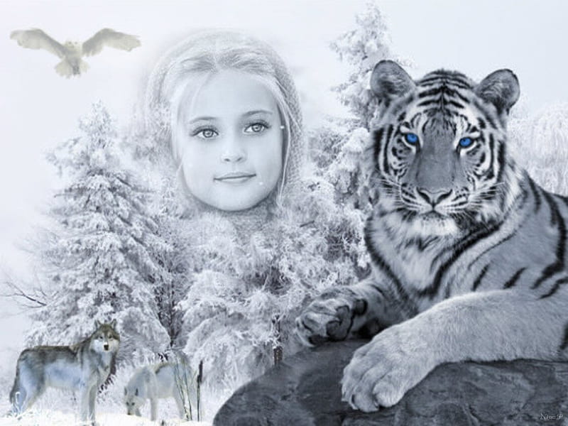 girl - tiger, face, wolves, snow, tiget, tree, HD wallpaper