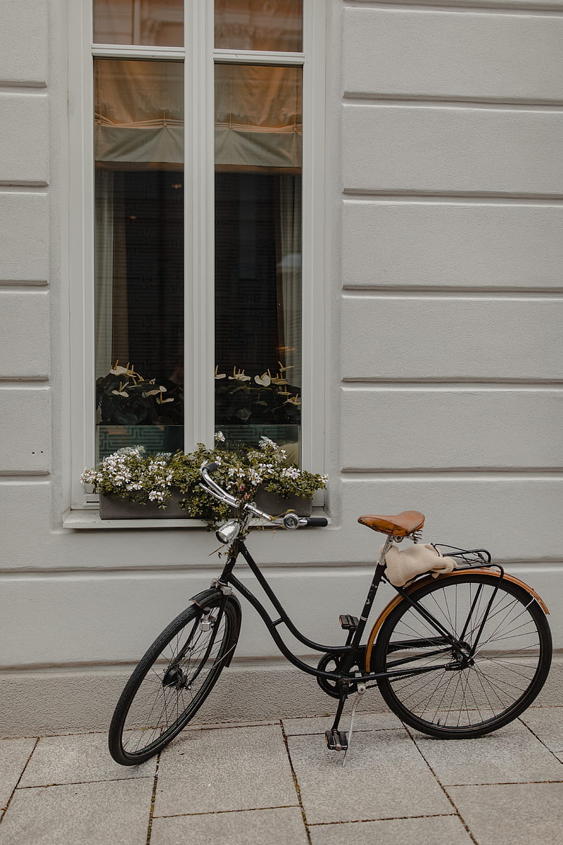 bicycle, window, flowers, HD phone wallpaper