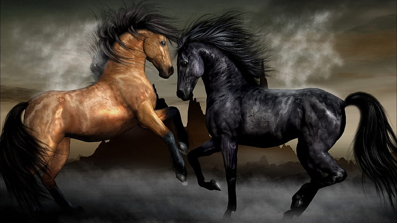 Black And Brown Horses Horse, HD wallpaper