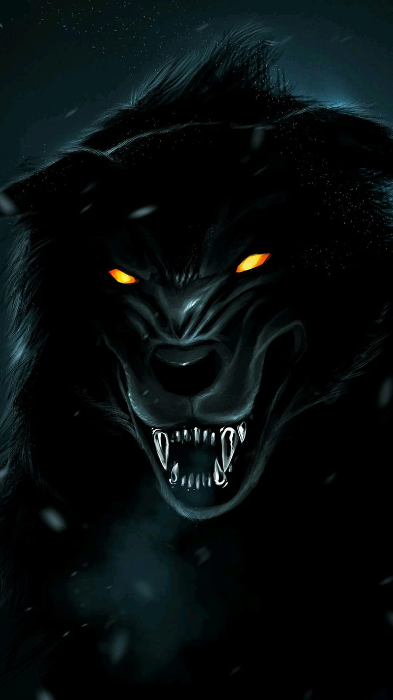 Black wolf, dangerous, wild wolf, HD phone wallpaper