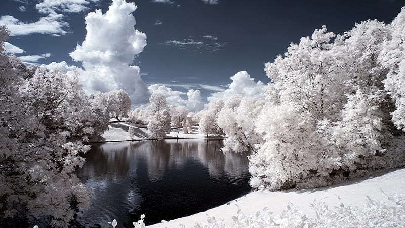 vigeland park in norway, pond, park, monochrome, trees, winter, HD wallpaper