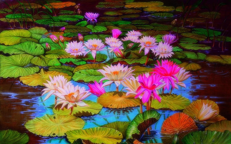ღ❤ღ, Lily Pad, Lotus, Earth, Pond, Dragonfly, Flower, HD wallpaper