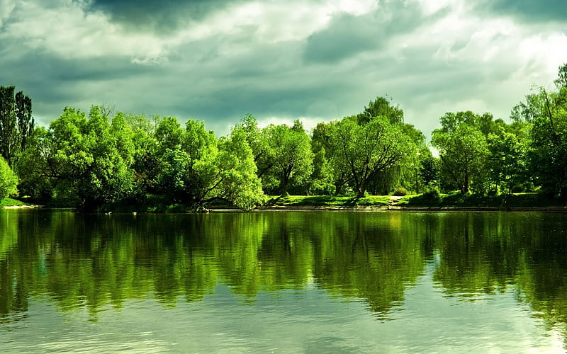 Green Lake, background, landscapes, creeks, bright, paisage, quiet, tranquil, beautiful, seasons, leaves, roots, parks, green, scenery, lakescape, lakes, paisagem, day, nature, reflected, branches, pc, scene, high definition, clouds, cenario, calm, scenario, shadows, beauty, rivers, , paysage, cena, black, trees, lagoons, sky, panorama, water, cool, serenity, awesome, hop, colorful, gray, laguna, smooth, trunks, graphy, mirror, amazing, view, colors, spring, leaf, serene, plants, vibrant, summer, colours, reflections, natural, HD wallpaper