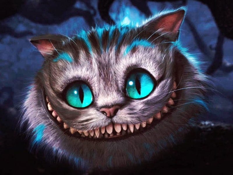 Cheshire cat, Alice, in, dream, Wonderland, HD wallpaper