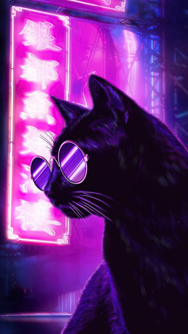 Gato de neón, animales, negro, gatos, oscuro, gafas, rosa, púrpura, Fondo  de pantalla de teléfono HD | Peakpx