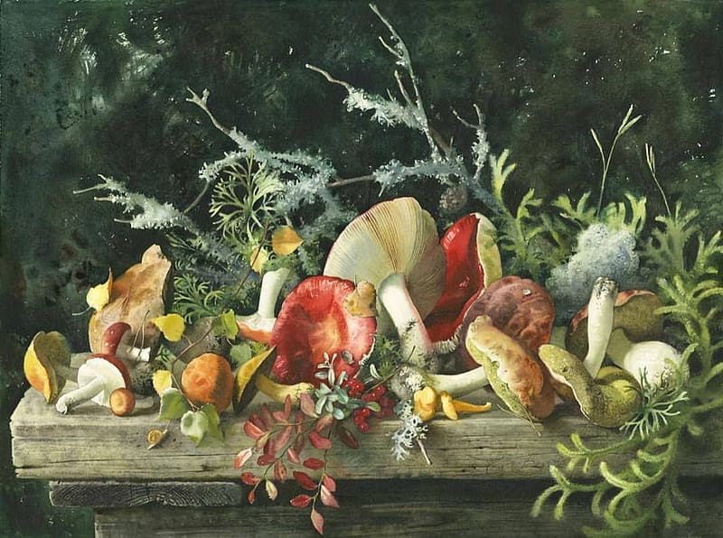 Mushrooms, food, mushroom, still life, elena bazanova, painting, art, pictura, HD wallpaper