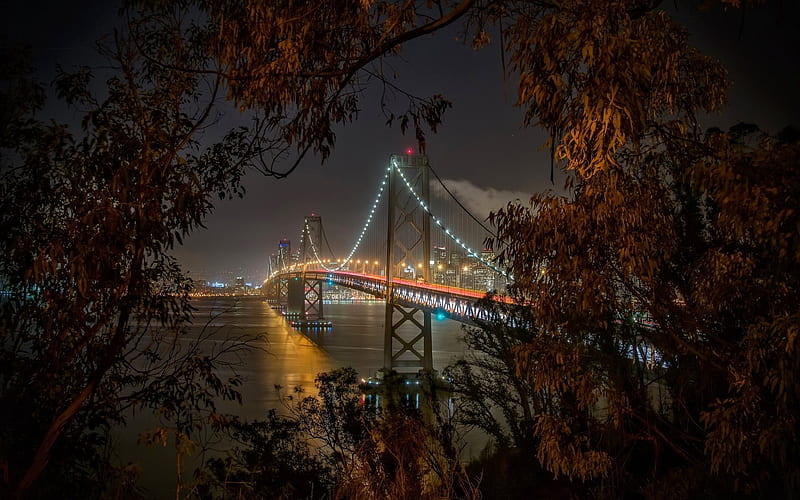 Bay Bridge, San Francisco, USA, Night, United States, California, HD wallpaper