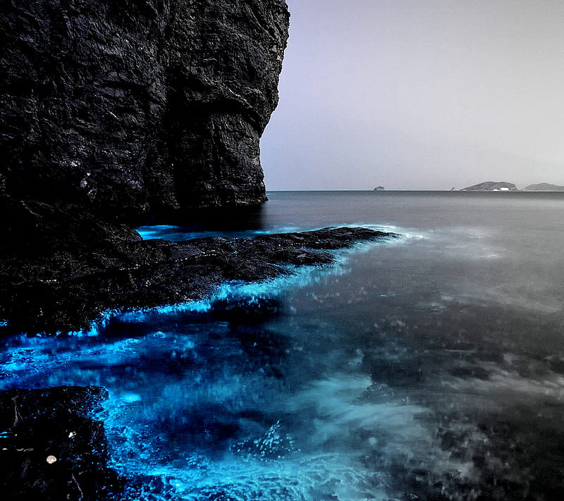 Sparkling Sea, beach, blue, deep, HD wallpaper