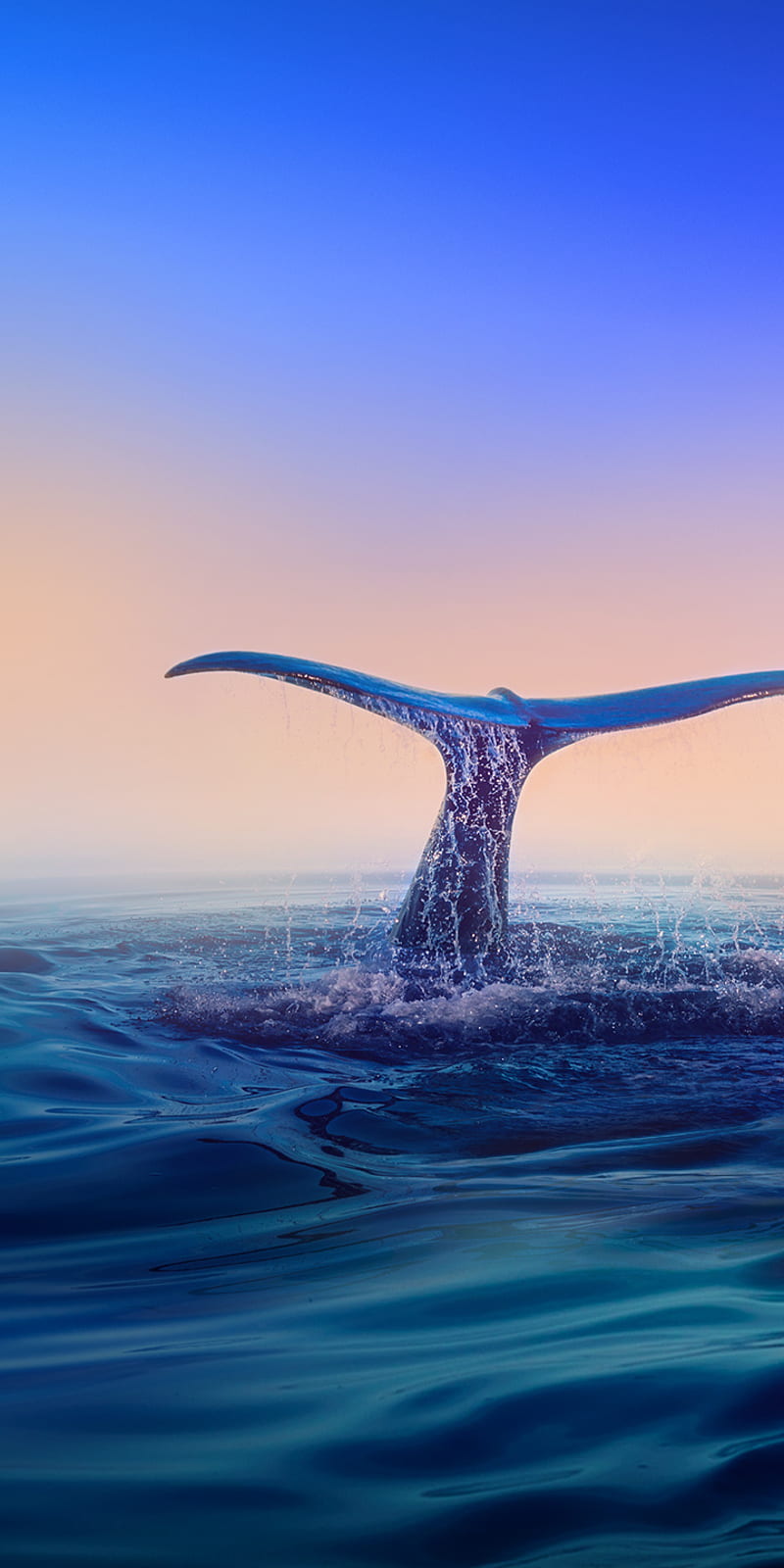 Whale Symphony - Majestic Whale in Moonlit Water by Pure1111 on DeviantArt