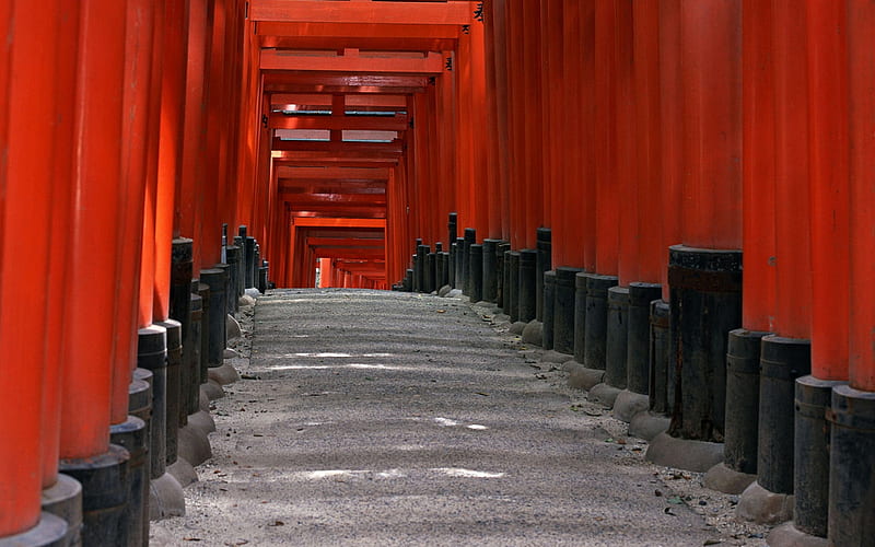 Fushimi Inari Shrine, red, gate, torii, japanese, japan, inari, kyoto, fox, shrine, temple, HD wallpaper