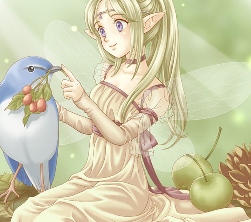 Anime Fairy Wallpapers - Top Những Hình Ảnh Đẹp