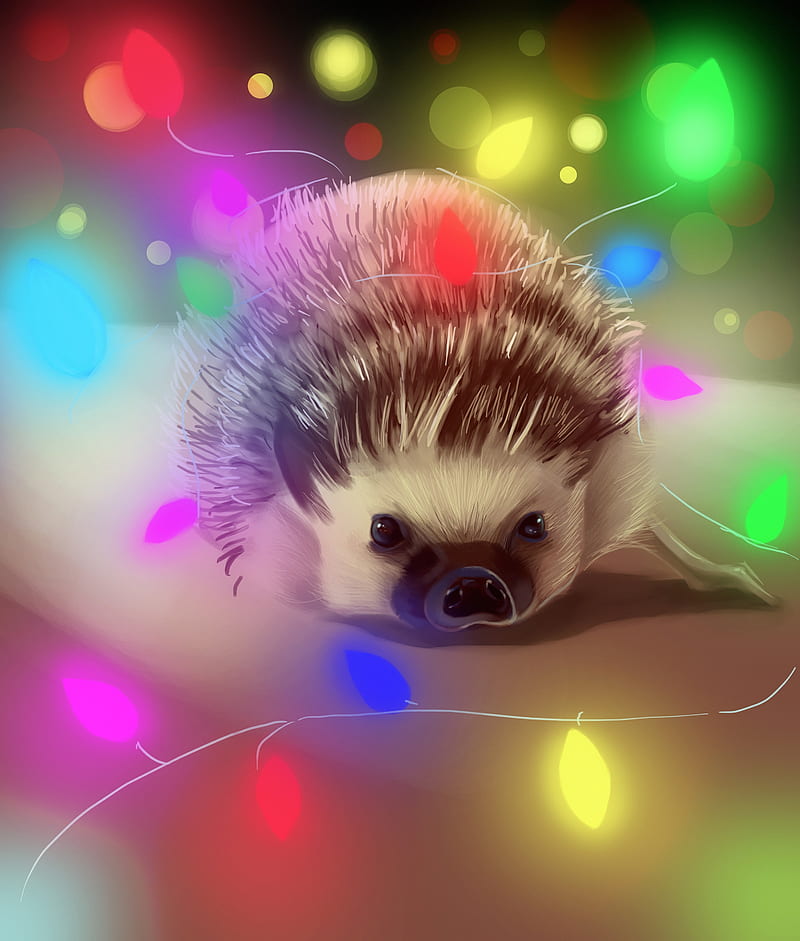 hedgehog, garland, art, glare, colorful, HD phone wallpaper