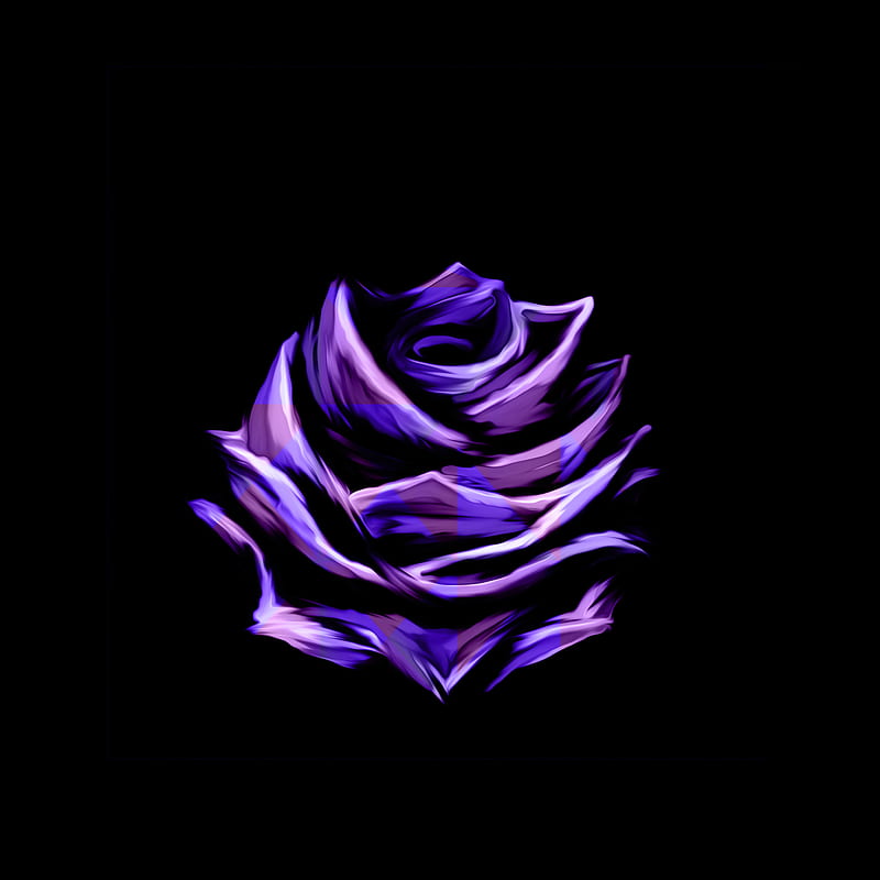 Purple rose, artistic, black, simple, HD phone wallpaper