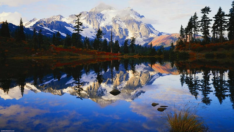 Spring Reflections, Mountain, Water, Reflection, Mount Rainier, HD ...