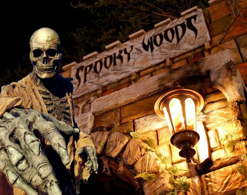 Spooky Woods, building, skeleton, coach lamp, night, HD wallpaper