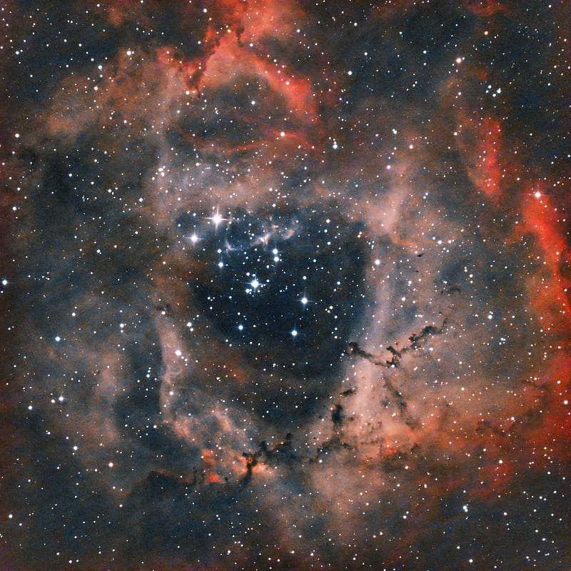 rosette nebula, nebula, galaxy, stars, space, HD phone wallpaper