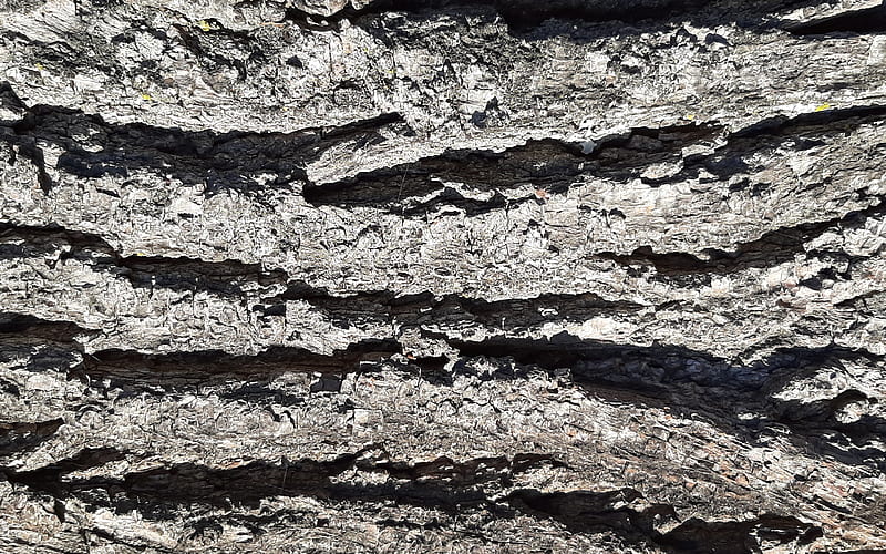 wood wave texture, bark texture, tree bark texture, wood background, old wood texture, HD wallpaper