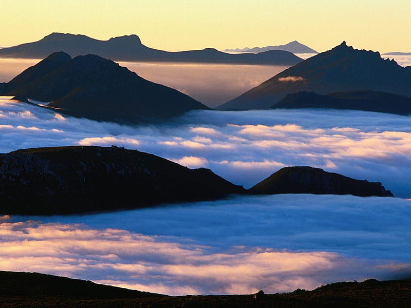 Valley Mist Dawn South-West National Park, Tasmania, Australia, australia, tasmania, rocks, south-west national park, HD wallpaper