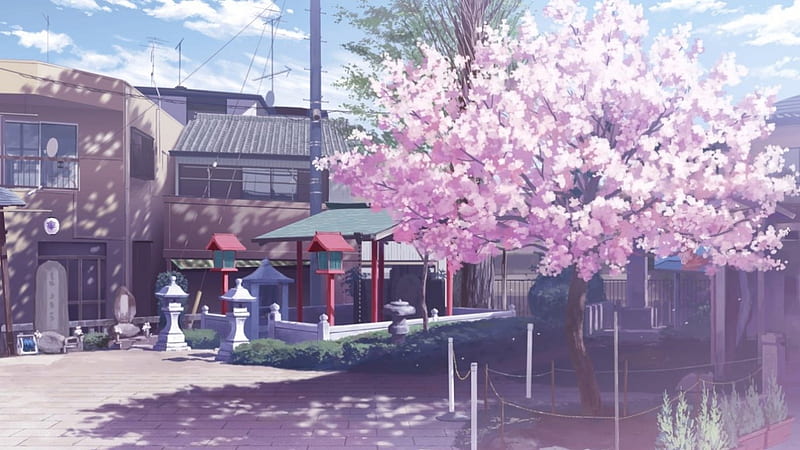 Anime Street, sakura, japan, city, japanese, anime, street, cherry blossom,  HD wallpaper | Peakpx
