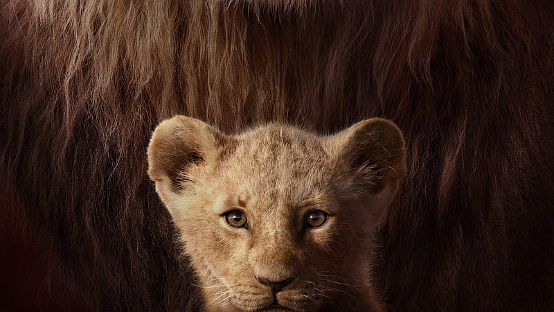 The Lion King Key Art , the-lion-king, lion, 2019-movies, movies, disney, simba, HD wallpaper