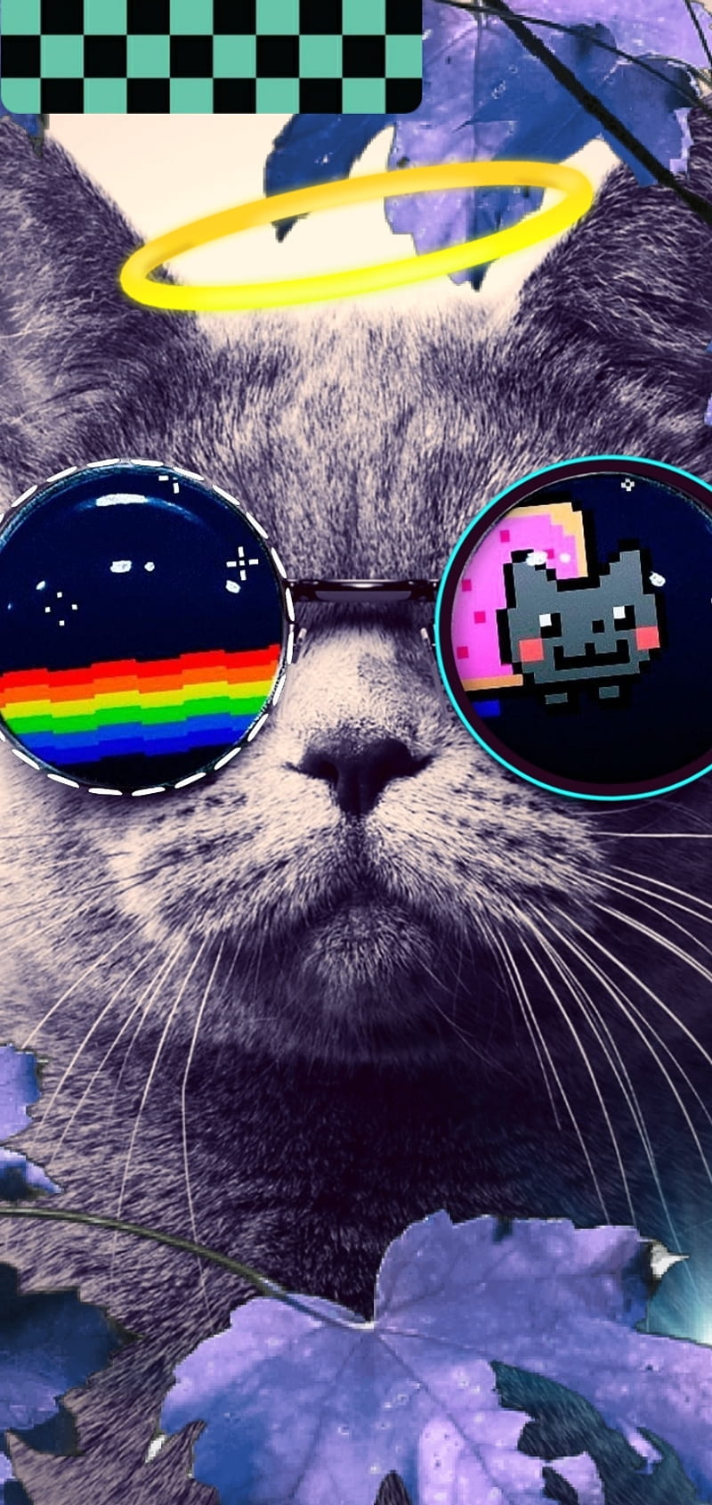 Cat cool, awesome, bad, cat , cool, HD phone wallpaper