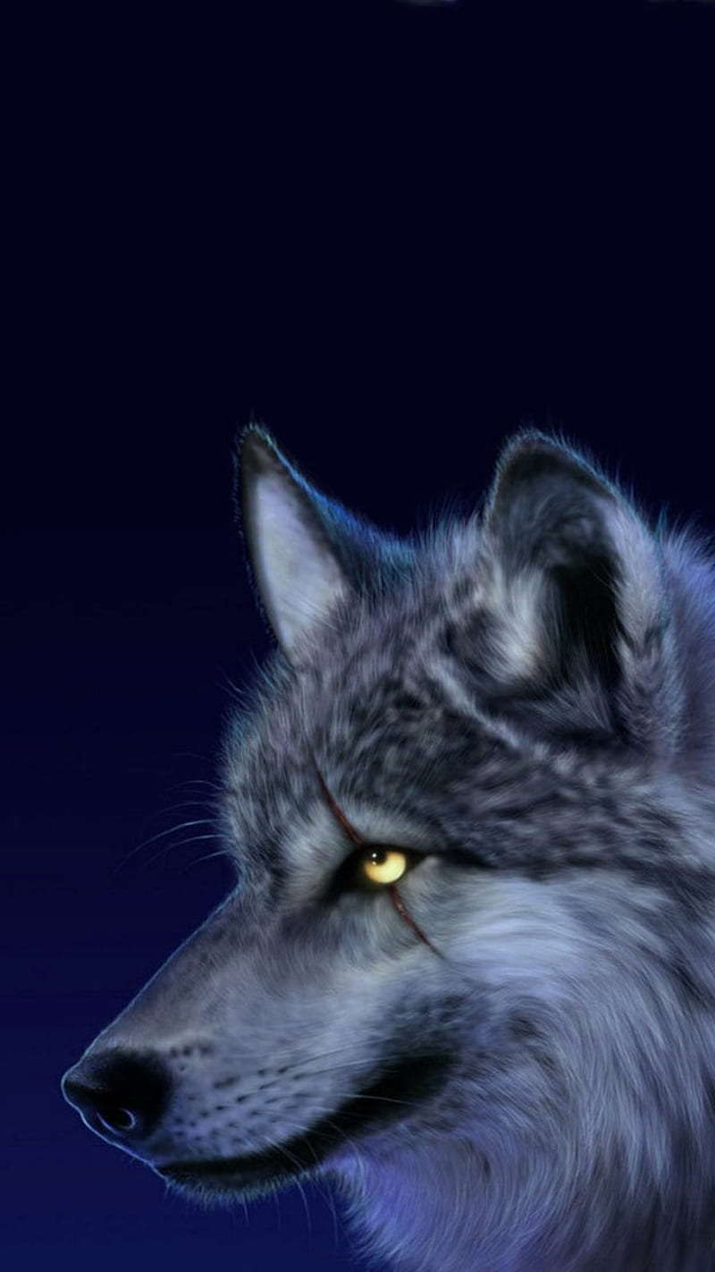 Wolf, animal, scar, HD phone wallpaper