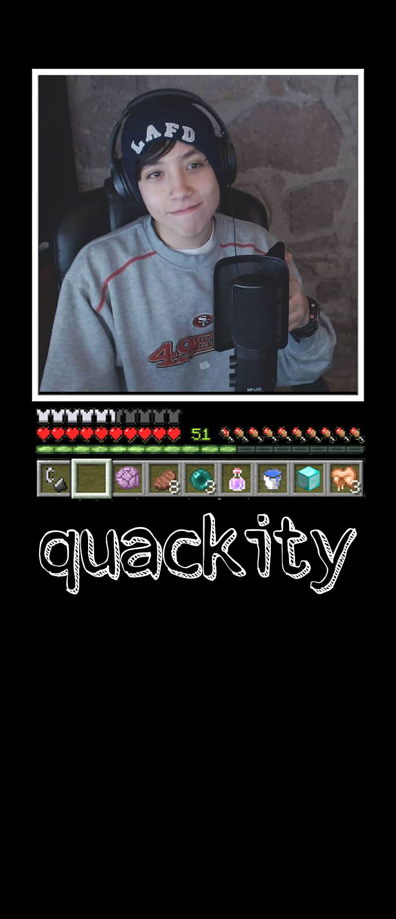 Quackity wallpaper by Itsruru  Download on ZEDGE  41ce