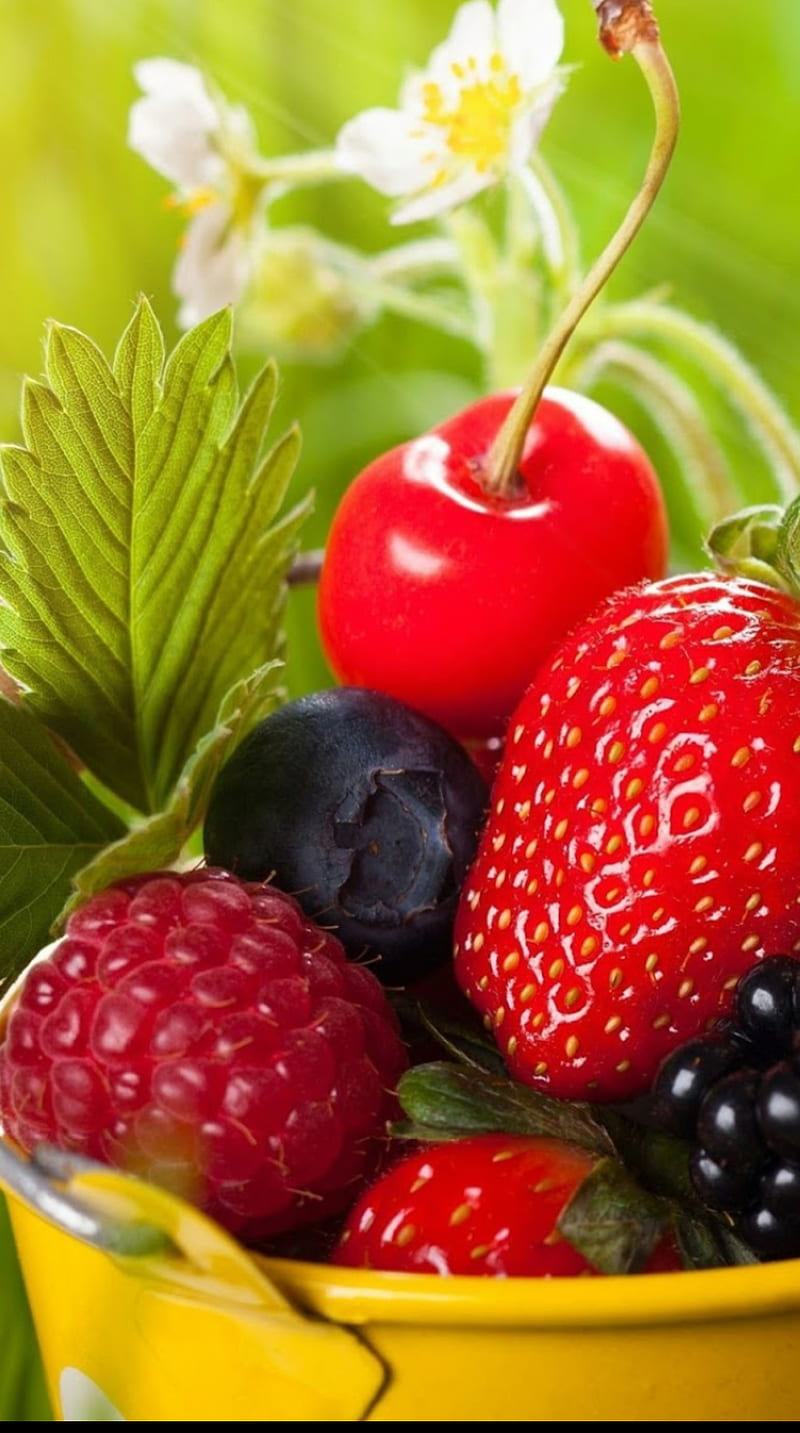 Fresh fruit bowl, basket, berries, colorful, HD phone wallpaper