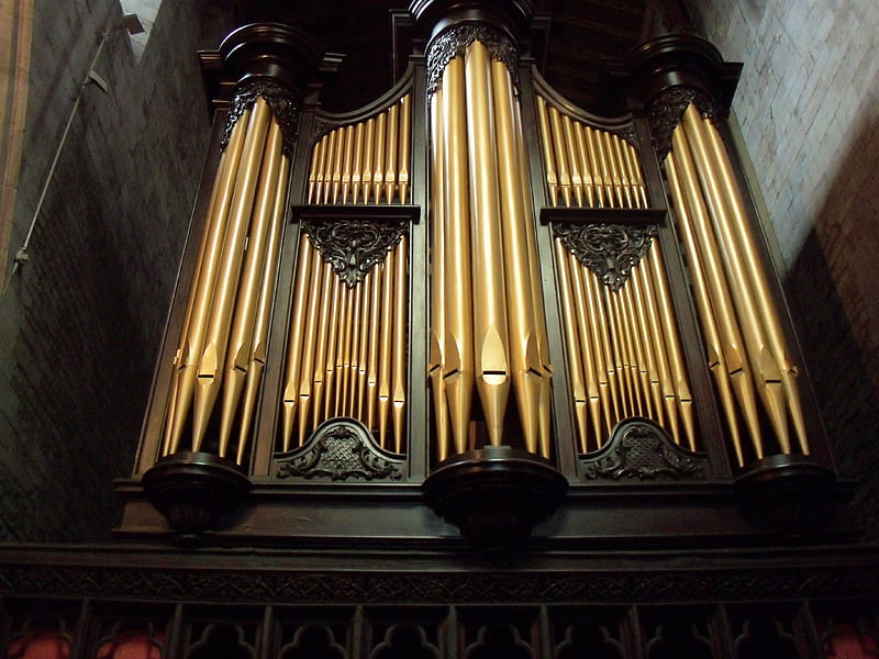 Organ in St Laurence Charch, organ, gold pipes, tower, dark wall, HD wallpaper