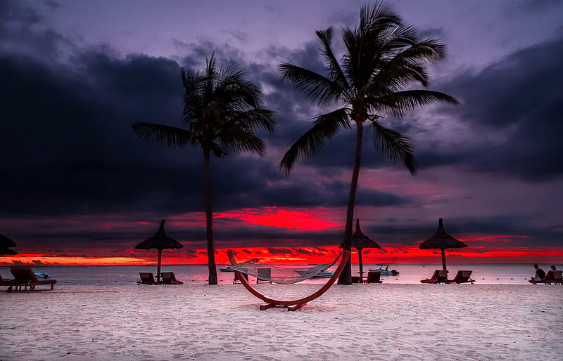 Sunset beach, shore, exotic, ocean, bonito, sunset, hammock, clouds, storm, mmer, palms, sea, beach, paradise, summer, tropical, sands, HD wallpaper