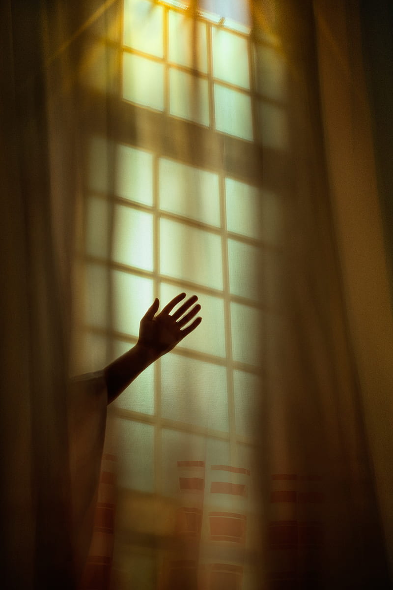 hand, window, blind, shadow, HD phone wallpaper