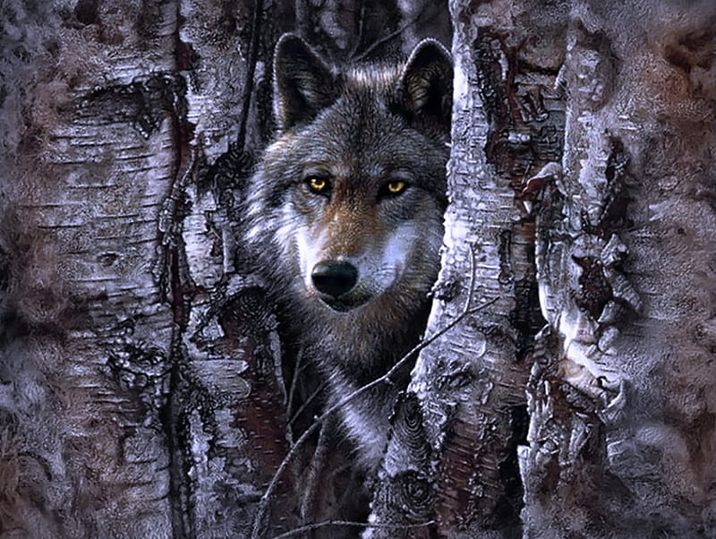 *Night watcher*, night watcher, life, trap, tree slot, hunting, wild, nature, wolf, wolves, animals, HD wallpaper
