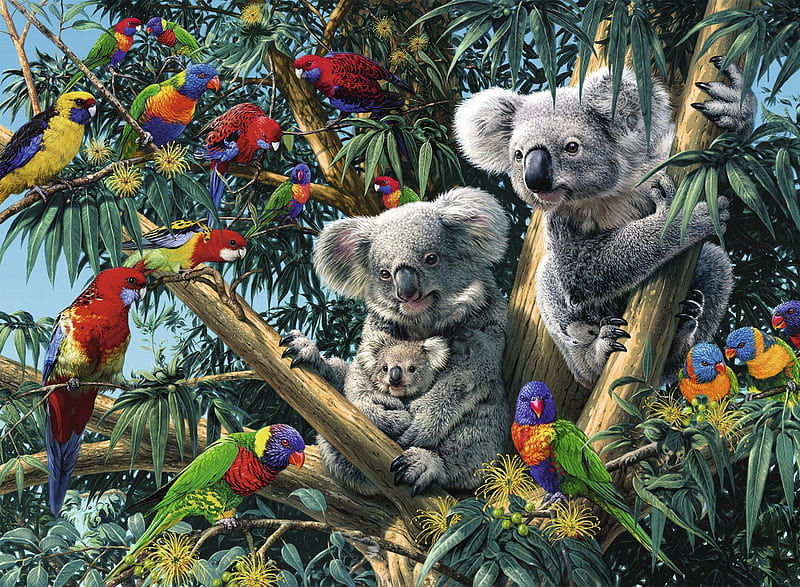 Koalas in a tree, fantasy, tree, bird, pasari, parrot, koala bear, animal, art, luminos, cute, HD wallpaper