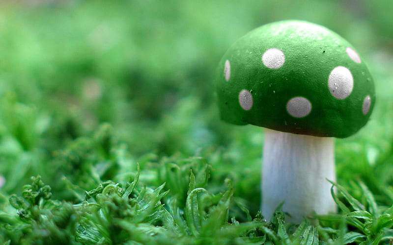 green mushroom, mario, nice, cool, graphy, green, mushroom, awesome, HD wallpaper