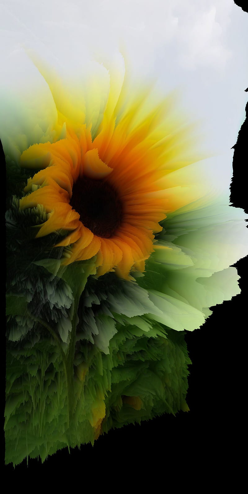 Sunflower , bonito, flower, love, morning, my art, nature, neon, yellow, HD phone wallpaper