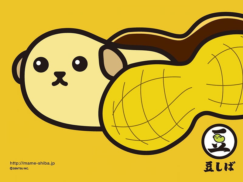 Mameshiba, Cute, Yellow, Dog, Bean, Peanut, Kawaii, Food, HD wallpaper