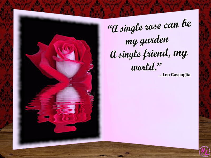 Red Rose Card with Quote #1, Red, Rose Reflection, Friendship, No Text, Card, Rose, Blank Card, Nature, Open Card, Reflection, Quote, Greeting Card, Red Rose, Flower, HD wallpaper