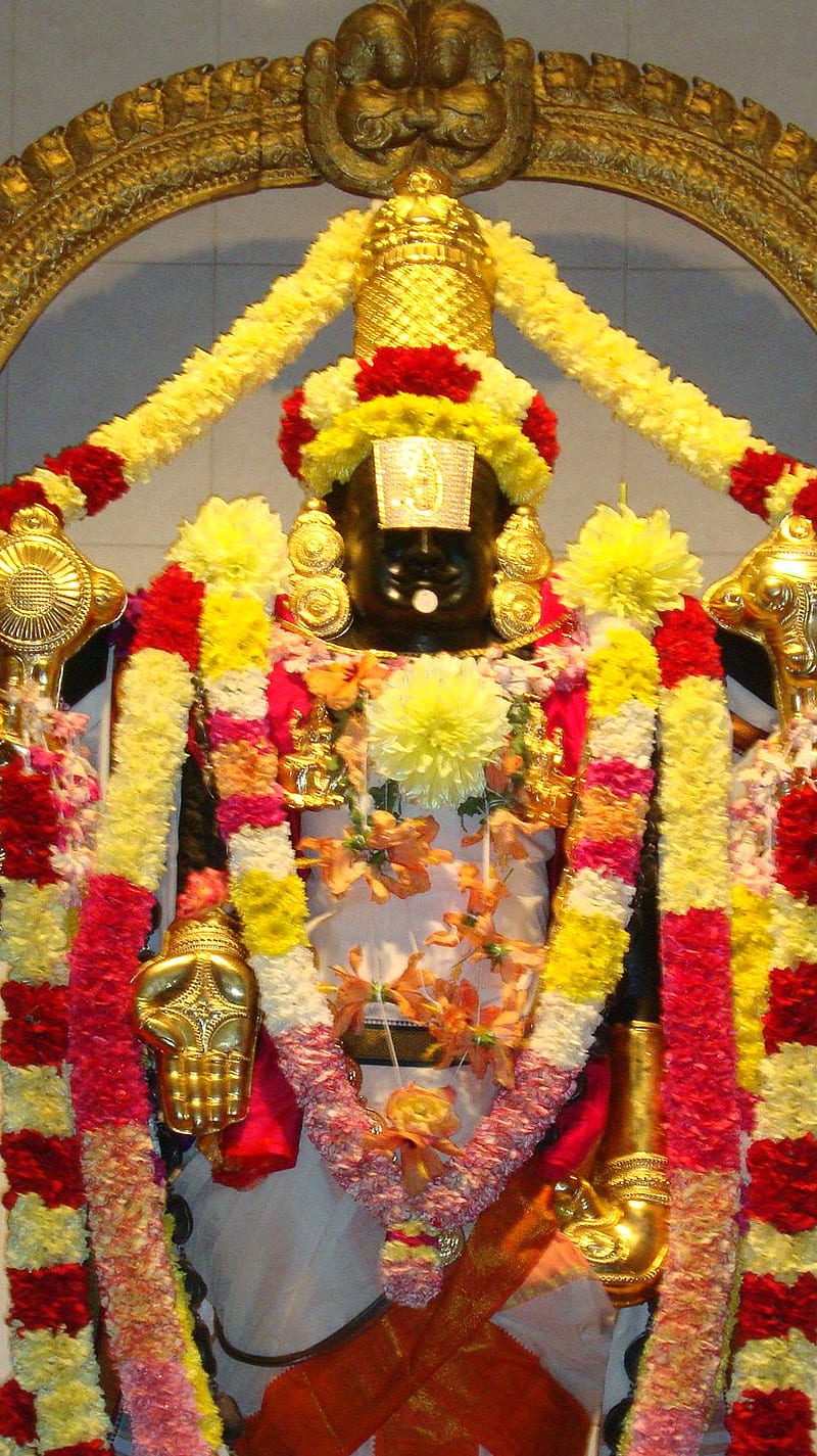 Lord Balaji, balaji, venkateswara swamy, HD phone wallpaper | Peakpx