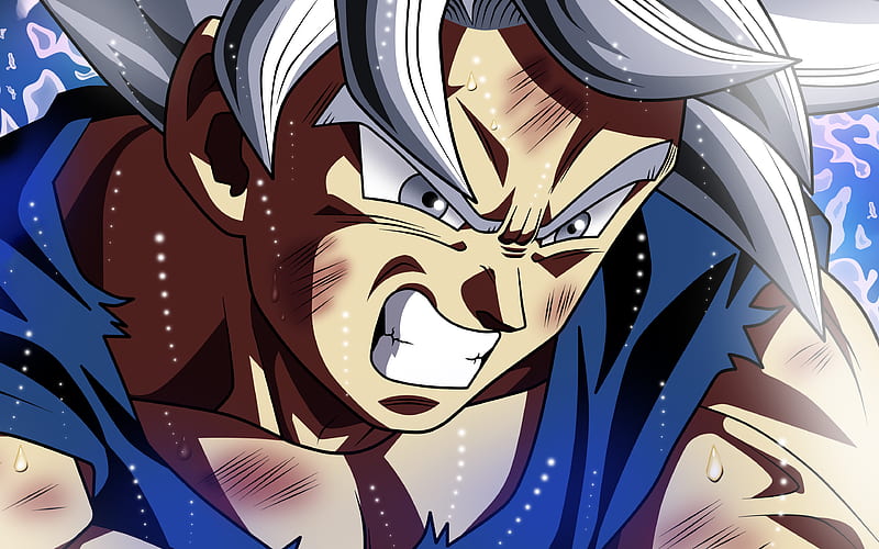 Goku Migatte No Gokui, Angry Goku Dragon Ball, art, Mastered Ultra