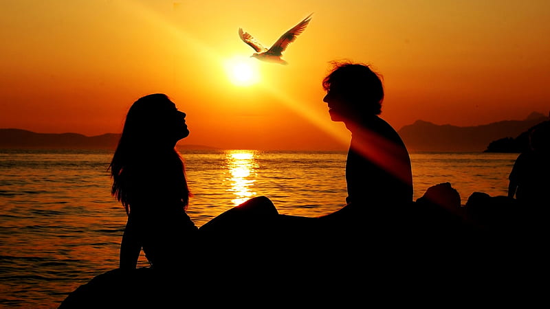 Romantic Sunset, sun, romantic, sunset, smiling, silhouette, beach, bird, shining, flying, couple, HD wallpaper