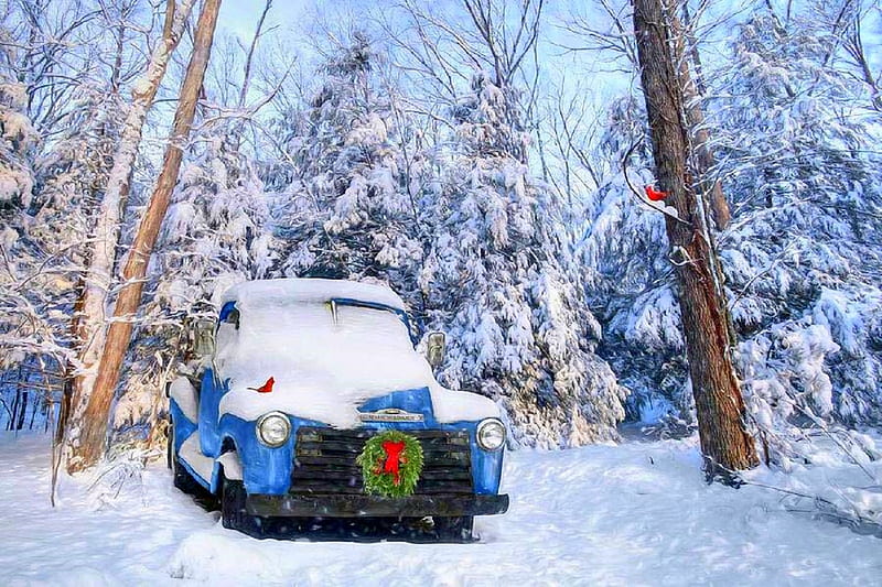 Winter Storage, Christmas, white trees, chevy, love four seasons, attractions in dreams, xmas and new year, winter, cardinals, carros, snow, chevrolet, winter holidays, truck, classic, pickup, vintage, HD wallpaper